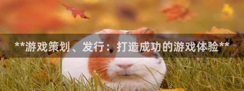 新宝gg上线被抓下线要输钱了会被抓吗：**游戏策划、发行：打造成功的游戏体验**