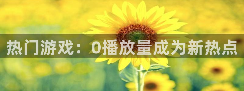 新宝gg平台注册网址