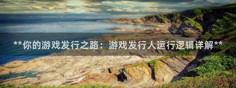 新宝gg创奇迹登录注册：**你的游戏发行之路：游戏发行人运行逻辑详解**