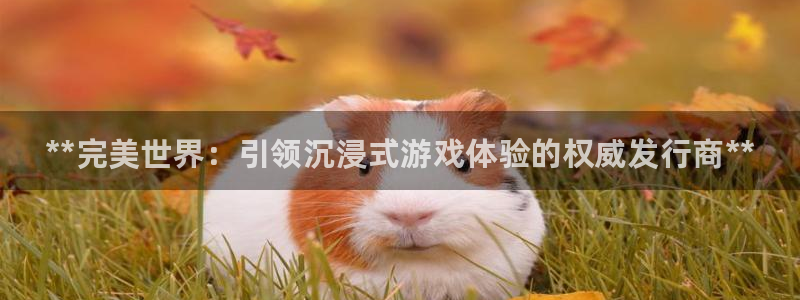 新宝gg官网登录找代理：**完美世界：引领沉浸式游戏体验的权威发行商**