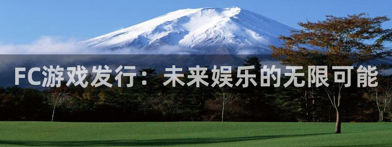 新宝gg创造奇迹平台登录入口：FC游戏发行：未来娱乐的无限可能