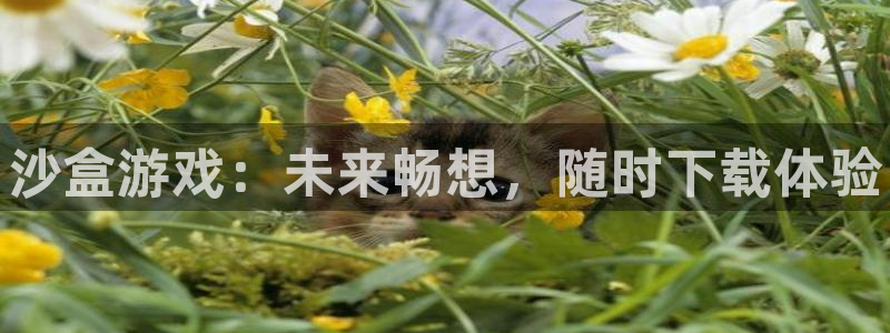 新宝gg创造奇迹官网地址：沙盒游戏：未来畅想，随时下载体验