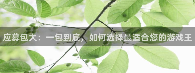 新宝gg平台—创造奇迹登录：应募包大：一包到底，如何选择最适合您的游戏王