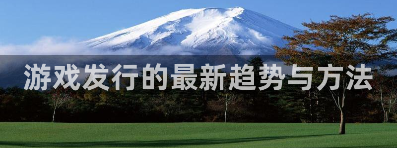 新宝gg平台—创造奇迹赌博：游戏发行的最新趋势与方法