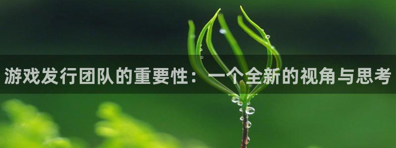 新宝gg创造奇迹手机登录：游戏发行团队的重要性：一个全新的视角与思考