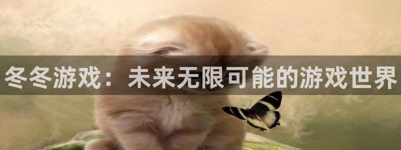新宝gg创造奇迹客服：冬冬游戏：未来无限可能的游戏世界