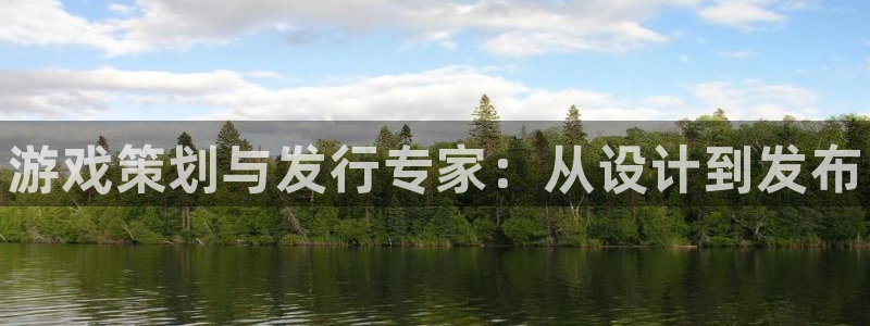 新宝gg — 创造奇迹!：游戏策划与发行专家：从设计到发布