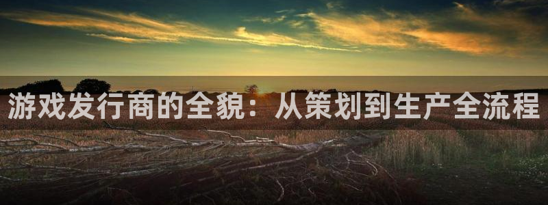 新宝gg–创造奇迹：游戏发行商的全貌：从策划到生产全流程