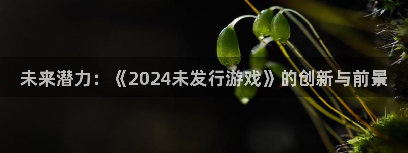 新宝gg平台注册网址：未来潜力：《2024未发行游戏》的创新与前景