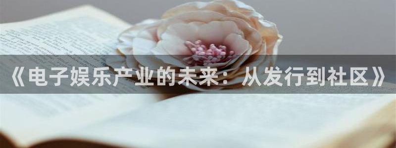 新宝gg—创造奇迹登录：《电子娱乐产业的未来：从发行到社区》